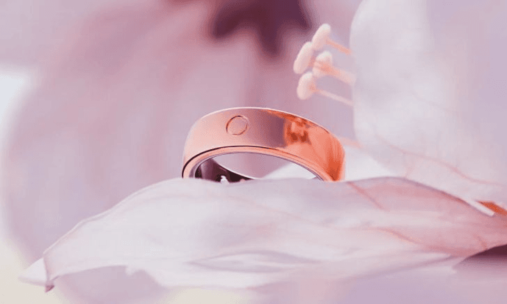 A gold ring on a flower

Description automatically generated