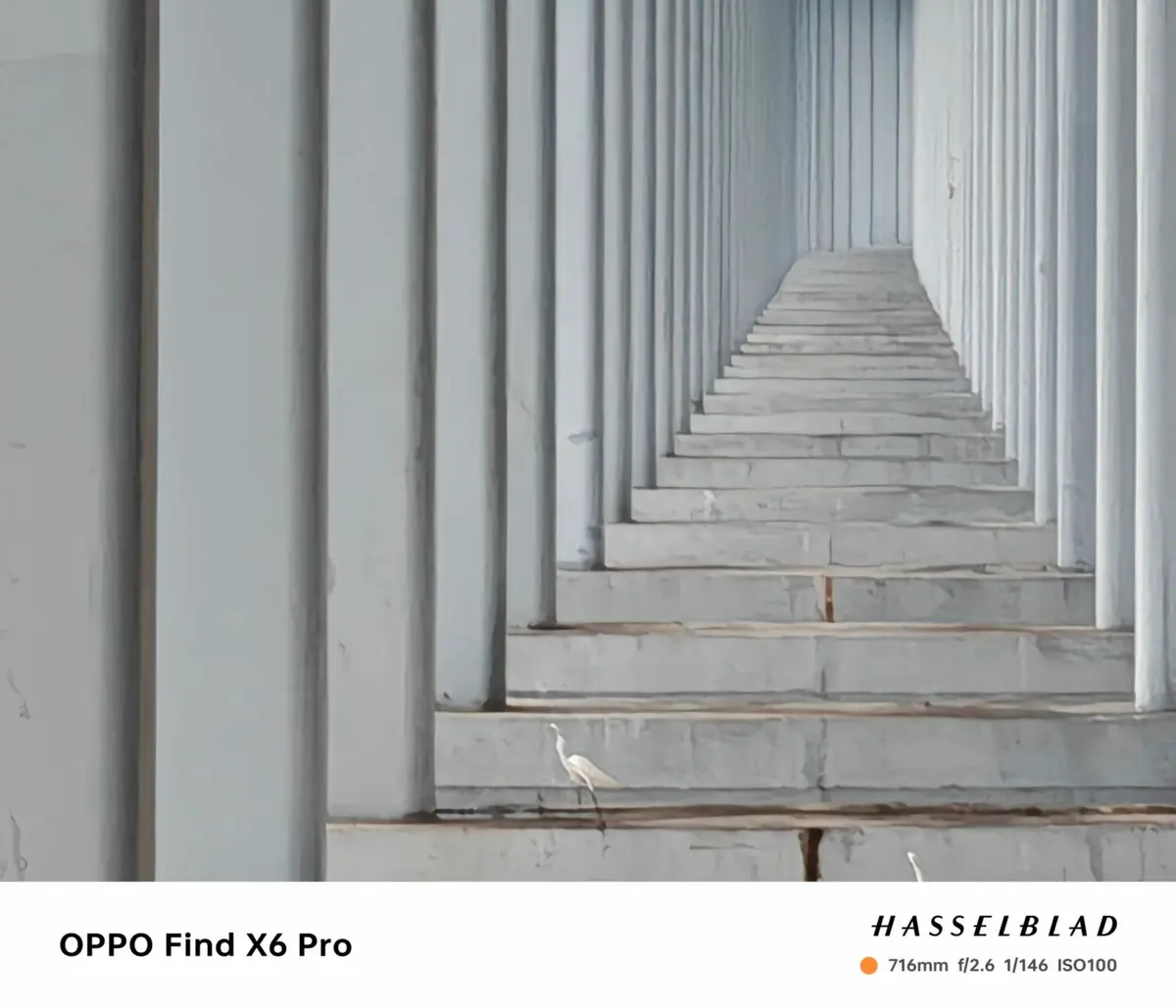 OPPO Find X6 Pro_30x