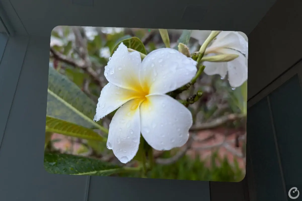 counterpoint research apple vision pro review spatial photos