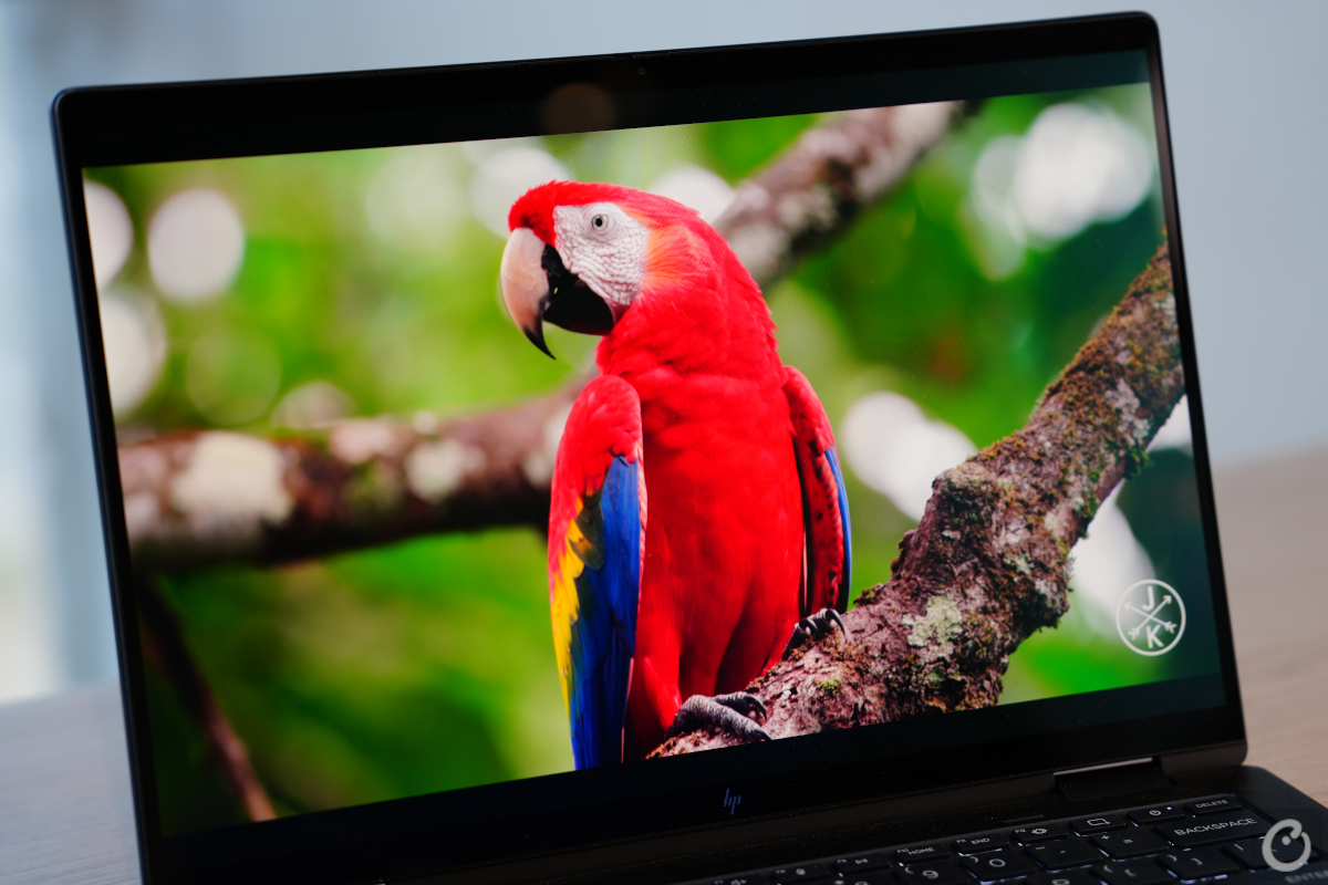 counterpoint hp envy x360 14 review display